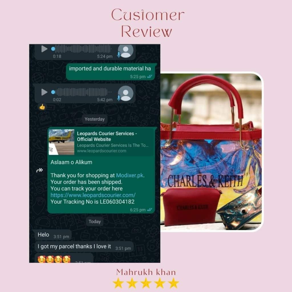 Maroon HoloGraphic Bag Review